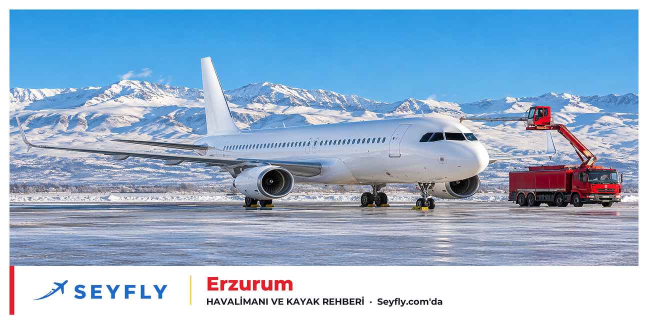 Karlı dağlar önünde Erzurum Havalimanı'nda bekleyen uçak