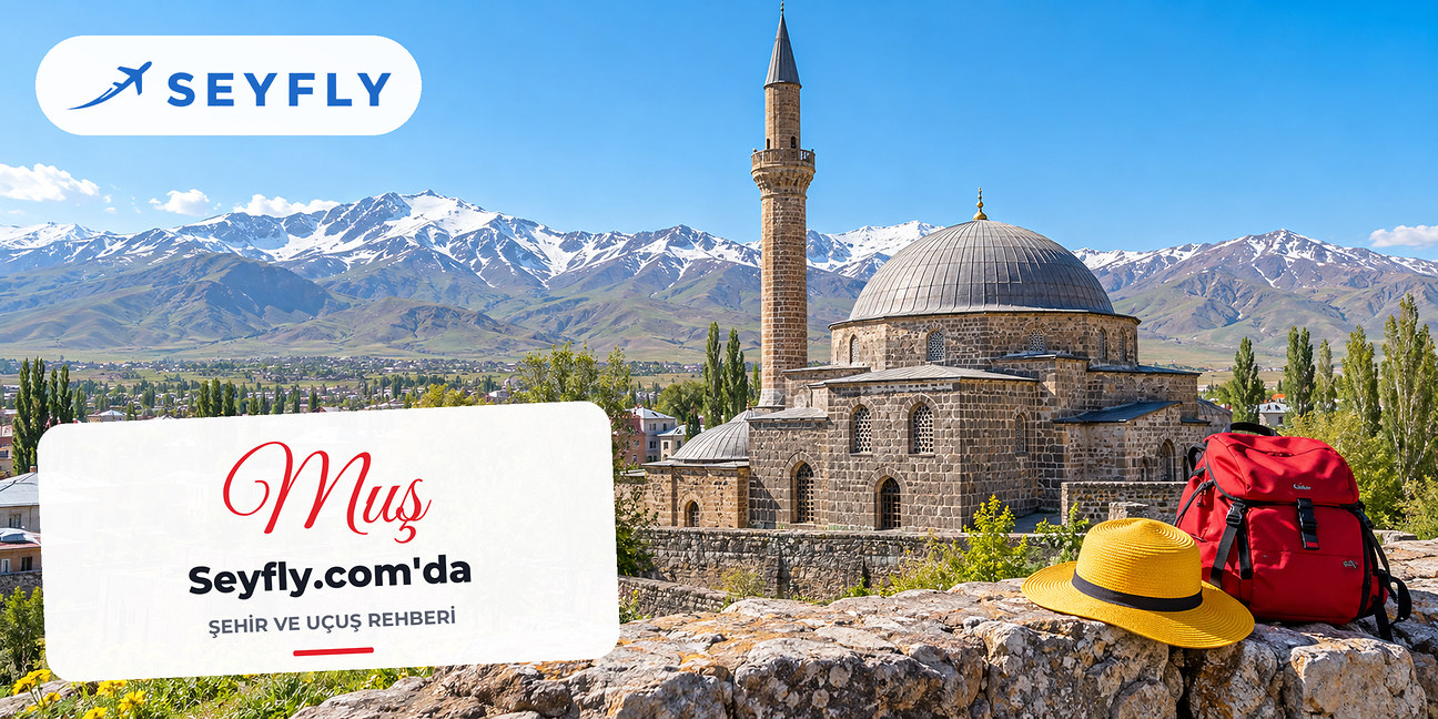 Muş'ta tarihi Alaeddin Bey Camii'nin taş kubbesi ve minaresi