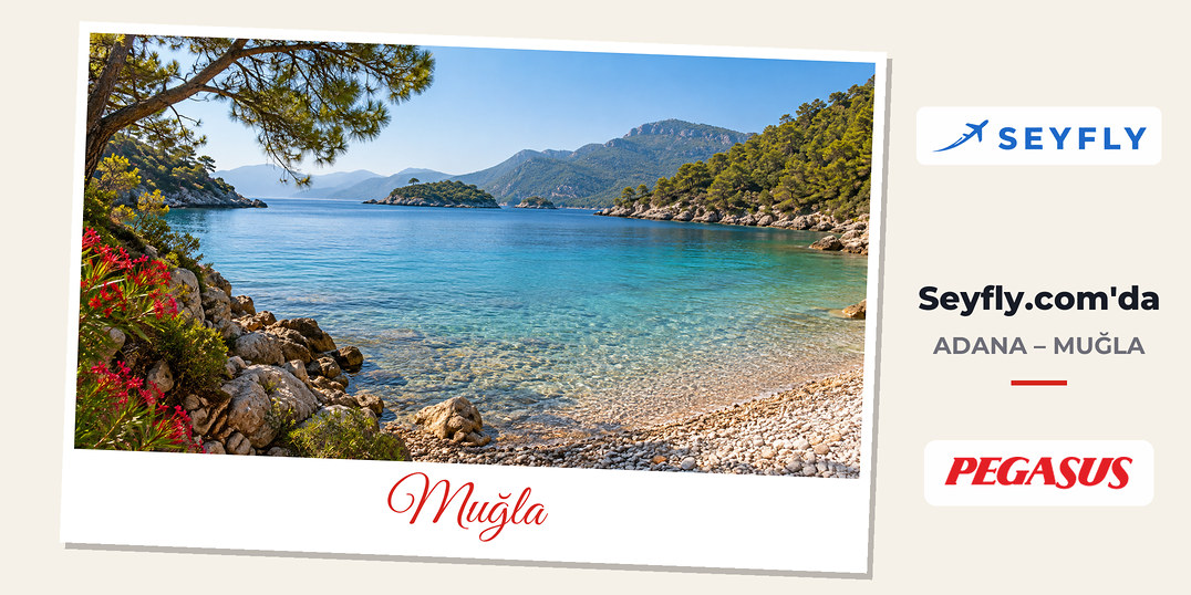 Muğla kıyısında çam ormanlarıyla çevrili sakin bir koy