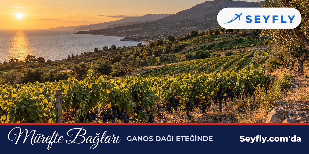Ganos Dağı eteğinde denize inen yamaçlarda sıralı üzüm bağları