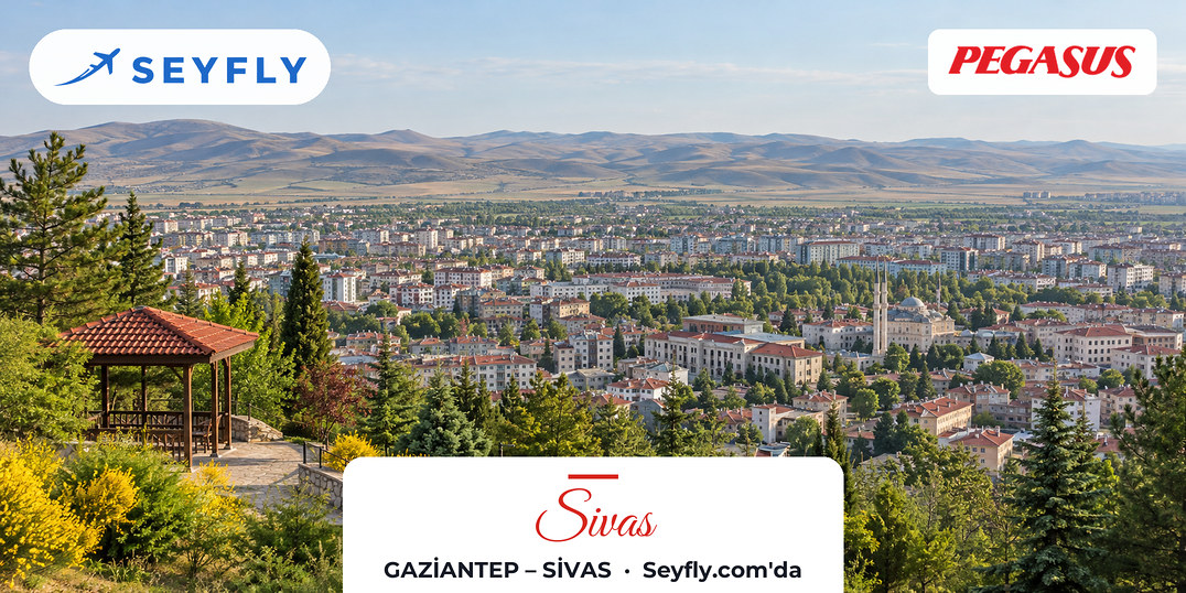Geniş bir yayla üzerine yayılan Sivas ve tepedeki parkın ağaçları