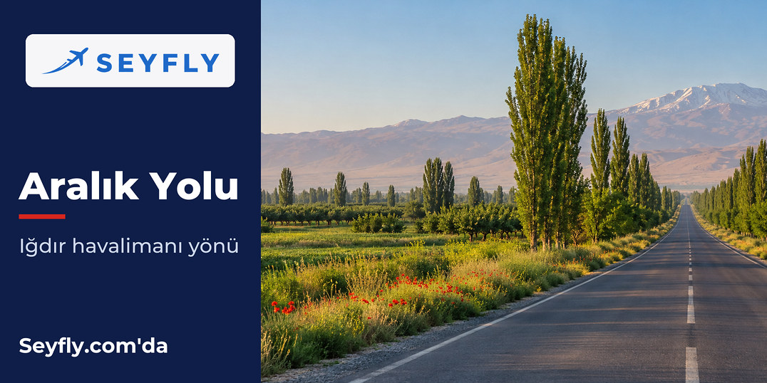Iğdır ovasında kavak sıraları arasından geçen düz yol