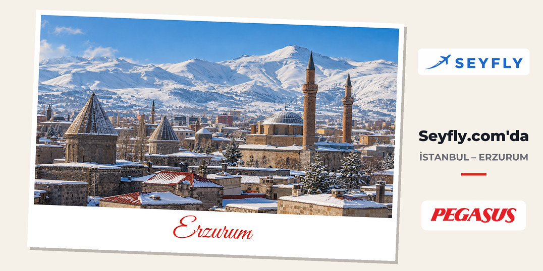 Erzurum'da karlı Palandöken dağlarının önünde kubbeler ve minarelerle şehir merkezi