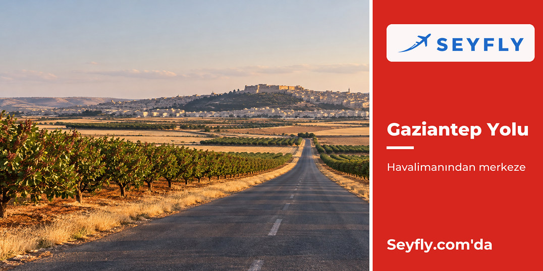 Gaziantep havalimanından şehre uzanan ova yolu ve fıstık bahçeleri