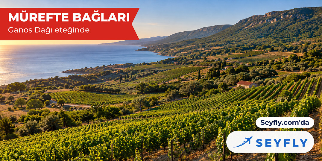 Ganos Dağı yamaçlarından denize inen Mürefte üzüm bağları