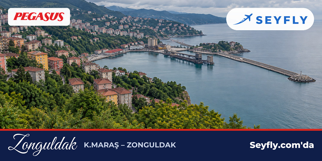 Karadeniz kıyısında yeşil yamaçlara kurulu Zonguldak ve limanı