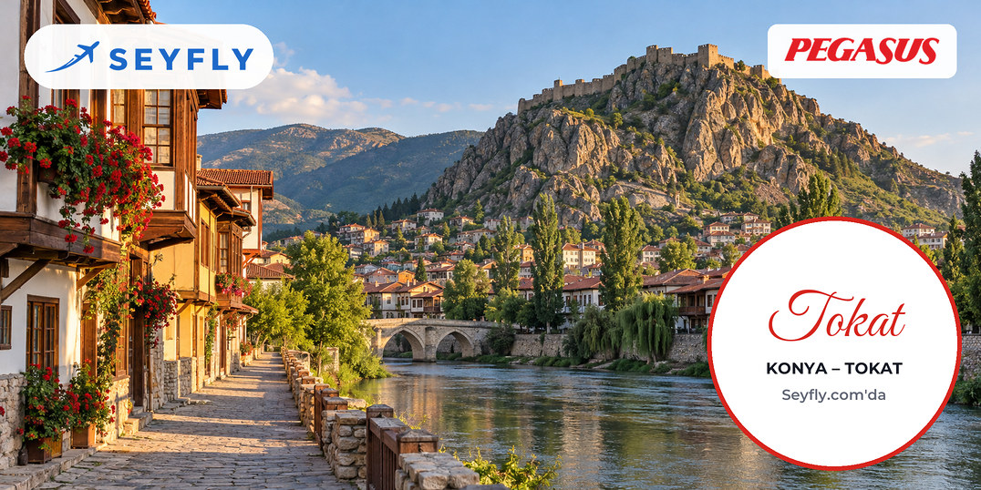 Tokat'ta kayalık tepedeki kale ve eteğindeki eski şehir dokusu