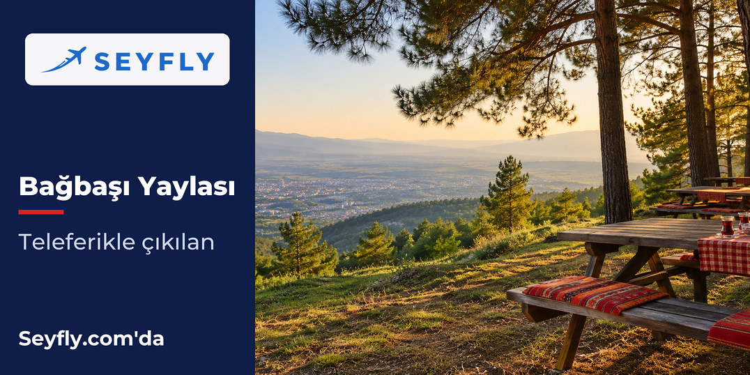 Bağbaşı Yaylası'nda çam ağaçları arasında piknik alanı ve kent manzarası