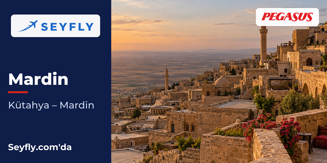Mezopotamya ovasına bakan yamaçta kademeli dizilmiş Mardin taş evleri