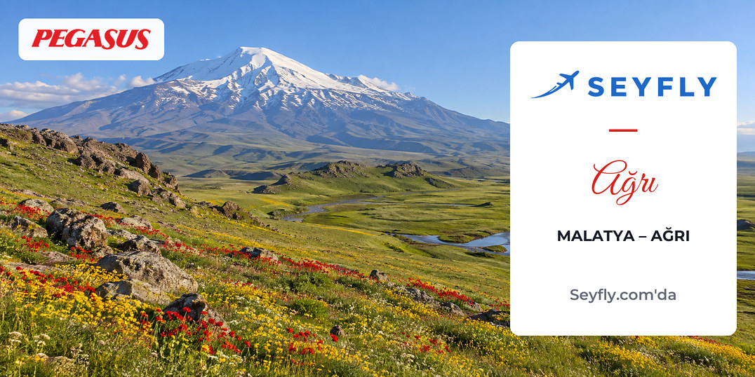 Yaz aylarında Ağrı Dağı'nın karlı zirvesine uzanan yayla çayırları