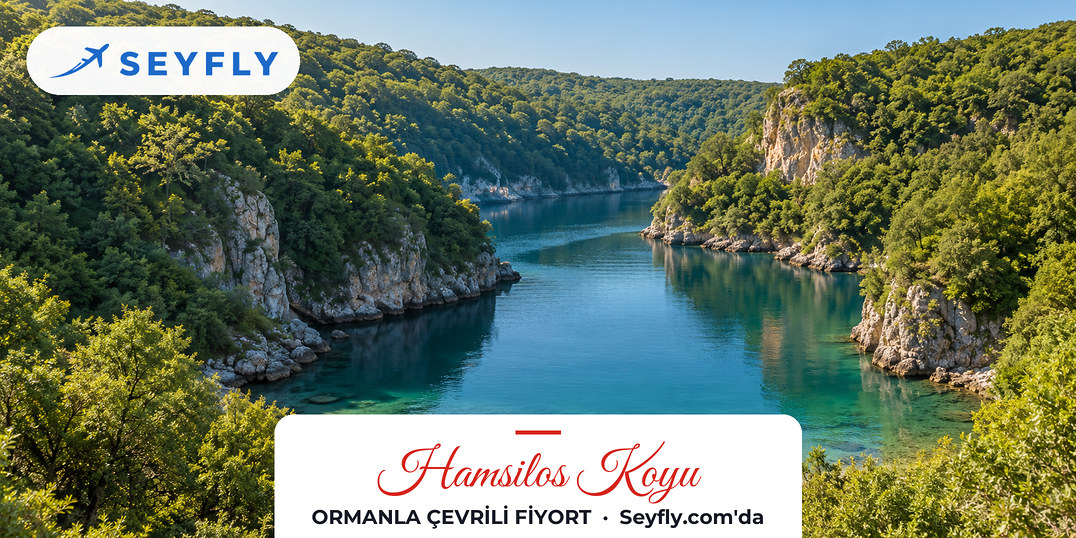Hamsilos Koyu'nda ormanlı yamaçlar arasında uzanan dar ve sakin deniz girintisi