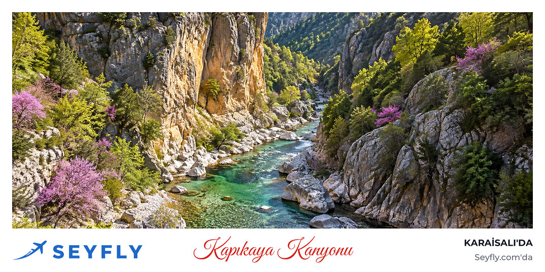 Karaisalı'da bir derenin oyduğu Kapıkaya Kanyonu'nun kayalık duvarları