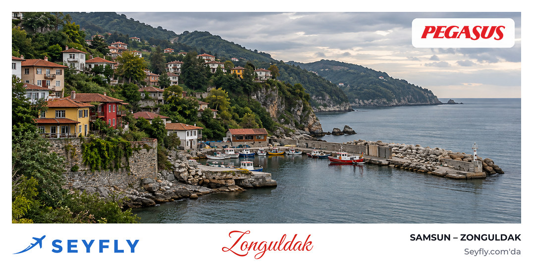 Zonguldak'ta yeşil yamaçların Karadeniz'e indiği kıyı ve küçük liman