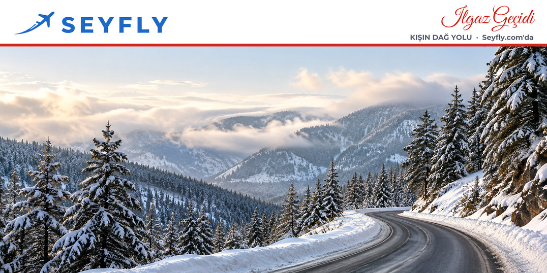 Ilgaz Dağı'nda karlı çam ormanı arasından geçen kıvrımlı dağ yolu