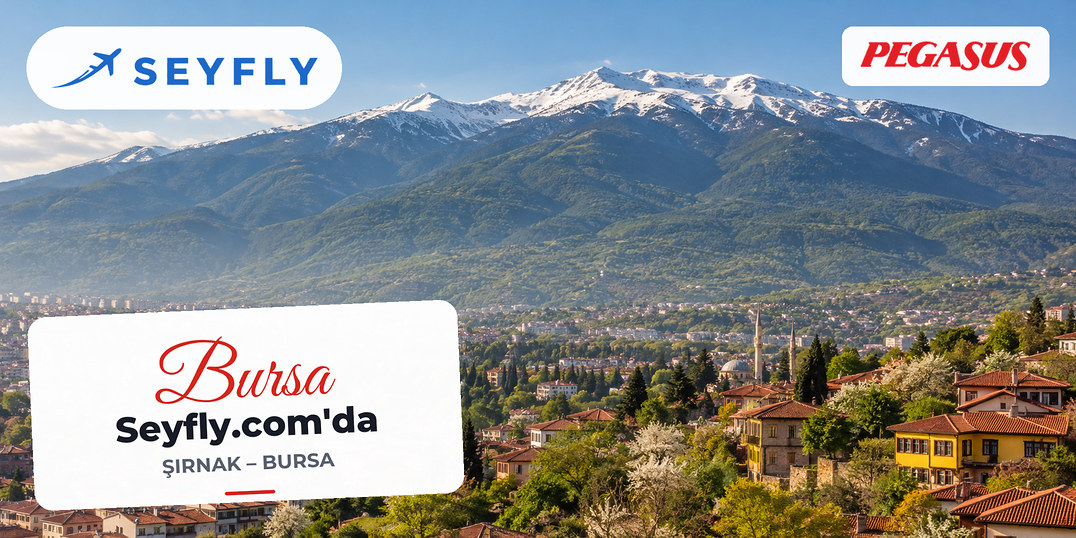 Bursa'nın üzerinde yükselen ormanlık Uludağ yamaçları ve zirvedeki kar