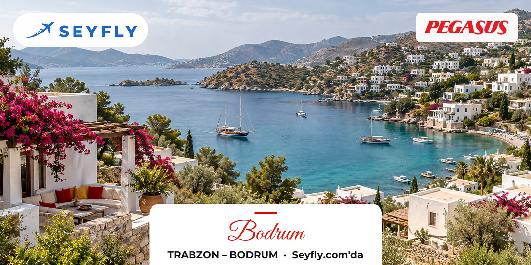 Bodrum yarımadasında beyaz badanalı evlerle çevrili koy ve sakin deniz