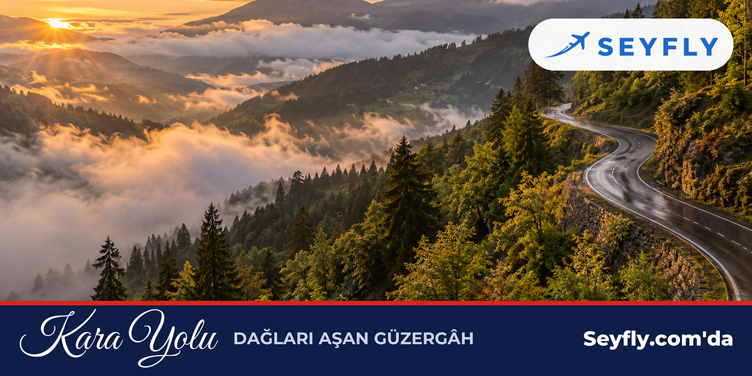 Karadeniz'in ormanlık dağlarında kıvrılarak yükselen kara yolu