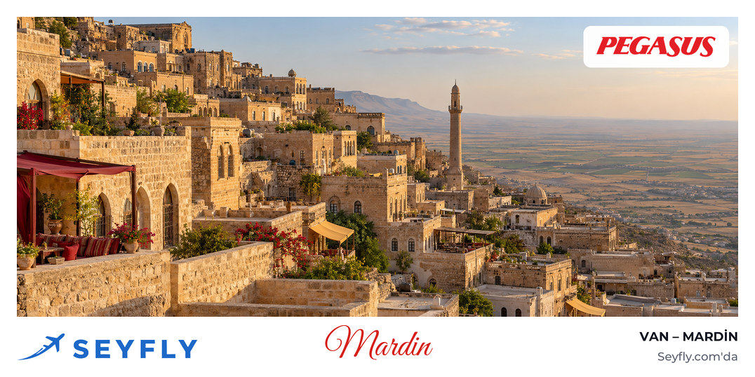 Mardin'de ovaya bakan yamaçta basamak basamak dizilmiş kesme taş evler