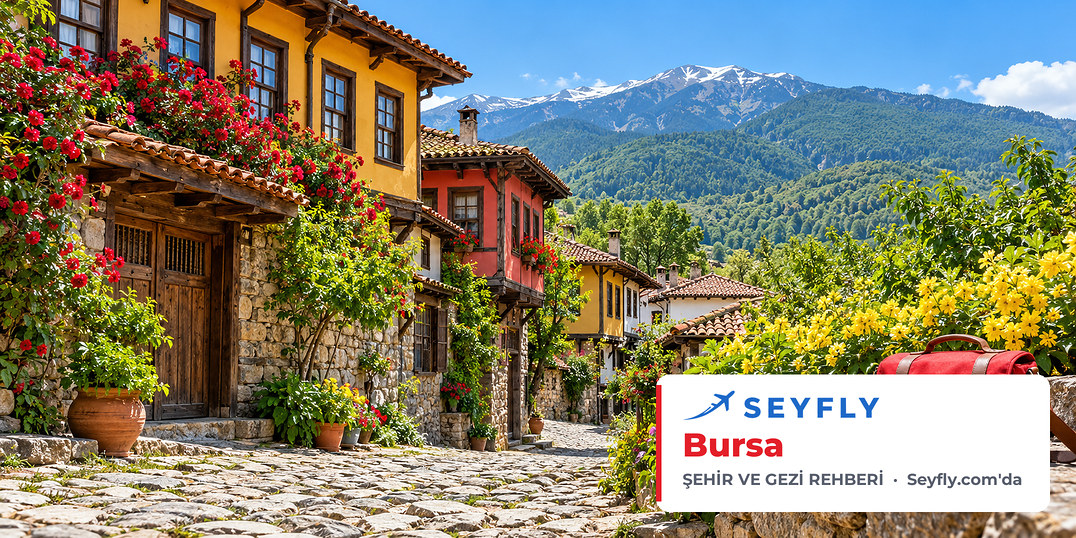 Bursa – Iğdır - Bursa uçak bileti