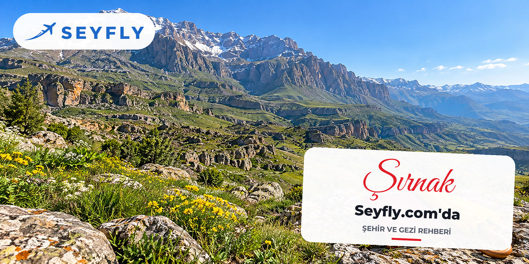 Şırnak – Iğdır - Şırnak uçak bileti