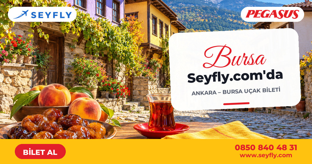 Ankara - Bursa uçak bileti - Seyfly