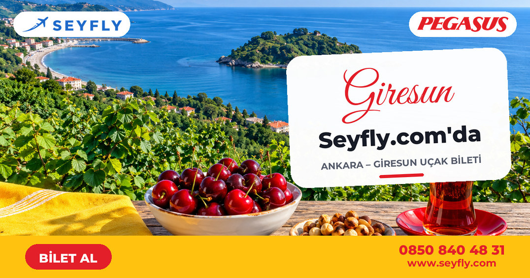 Ankara - Giresun uçak bileti - Seyfly
