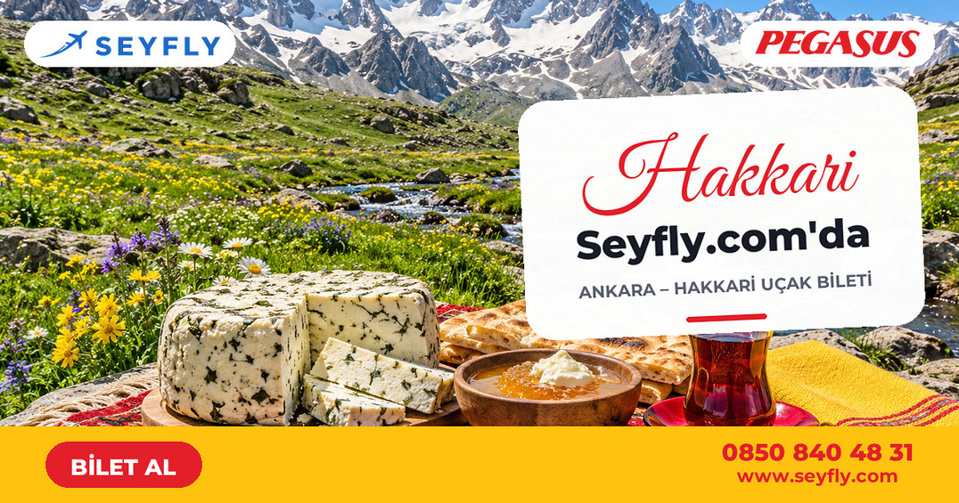 Ankara - Hakkari uçak bileti - Seyfly