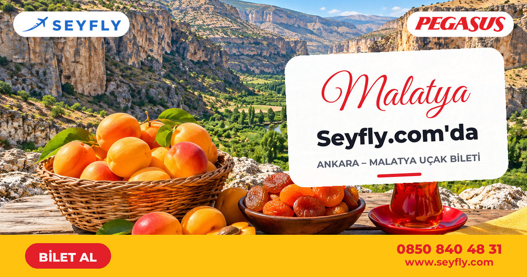 Ankara - Malatya uçak bileti - Seyfly