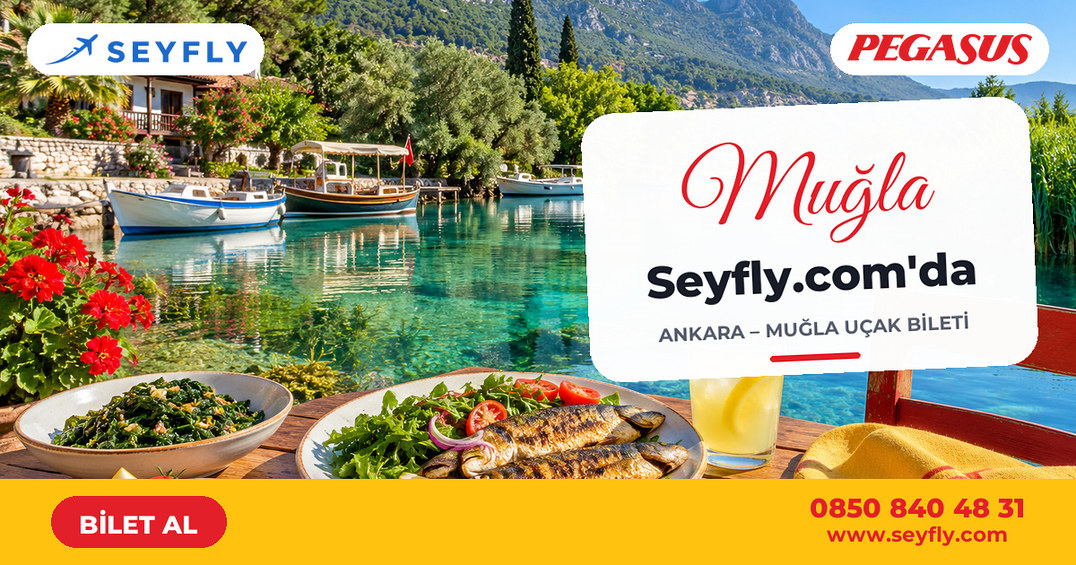 Ankara - Muğla uçak bileti - Seyfly