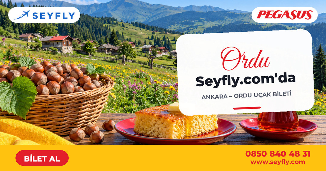 Ankara - Ordu uçak bileti - Seyfly
