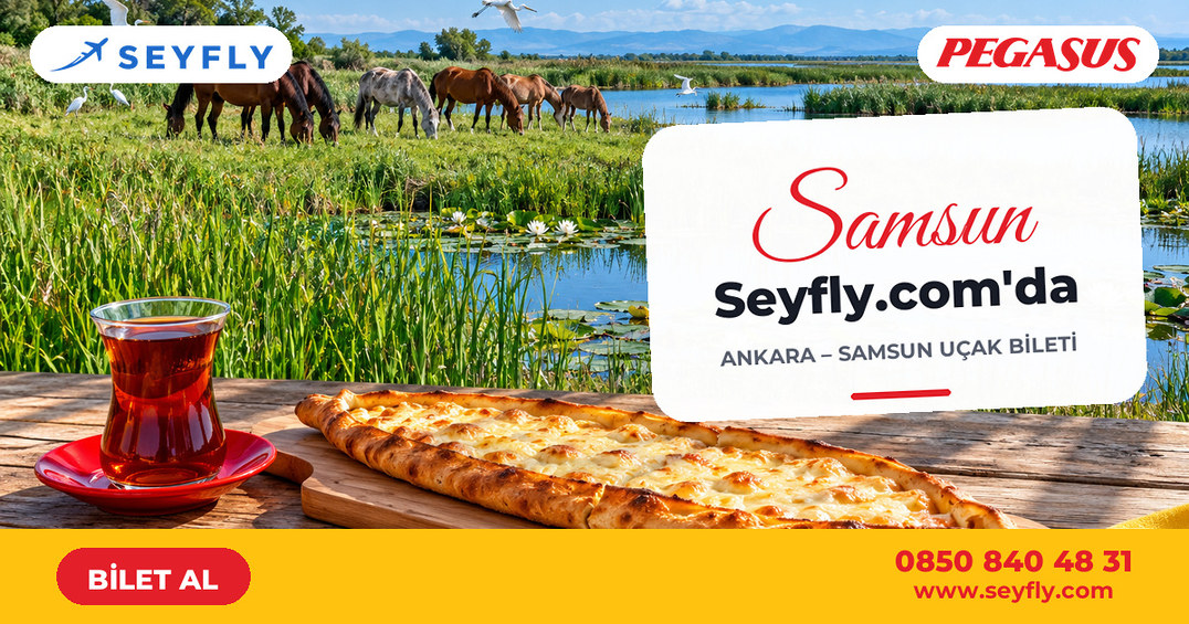 Ankara - Samsun uçak bileti - Seyfly