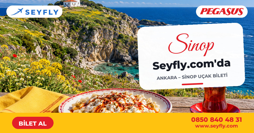 Ankara - Sinop uçak bileti - Seyfly