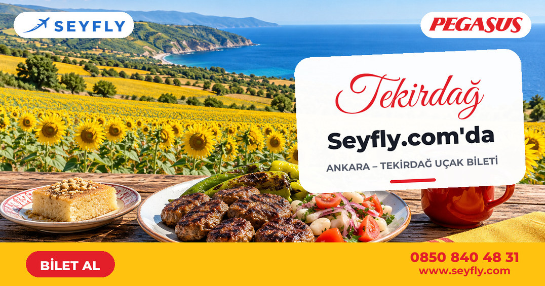 Ankara - Tekirdağ uçak bileti - Seyfly