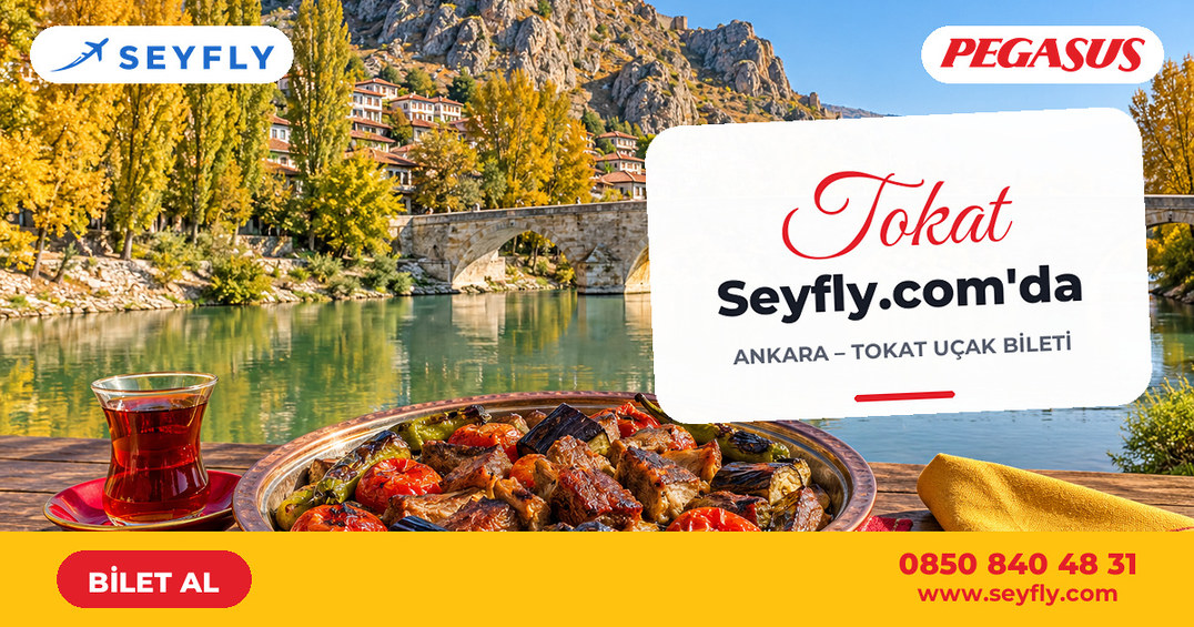 Ankara - Tokat uçak bileti - Seyfly