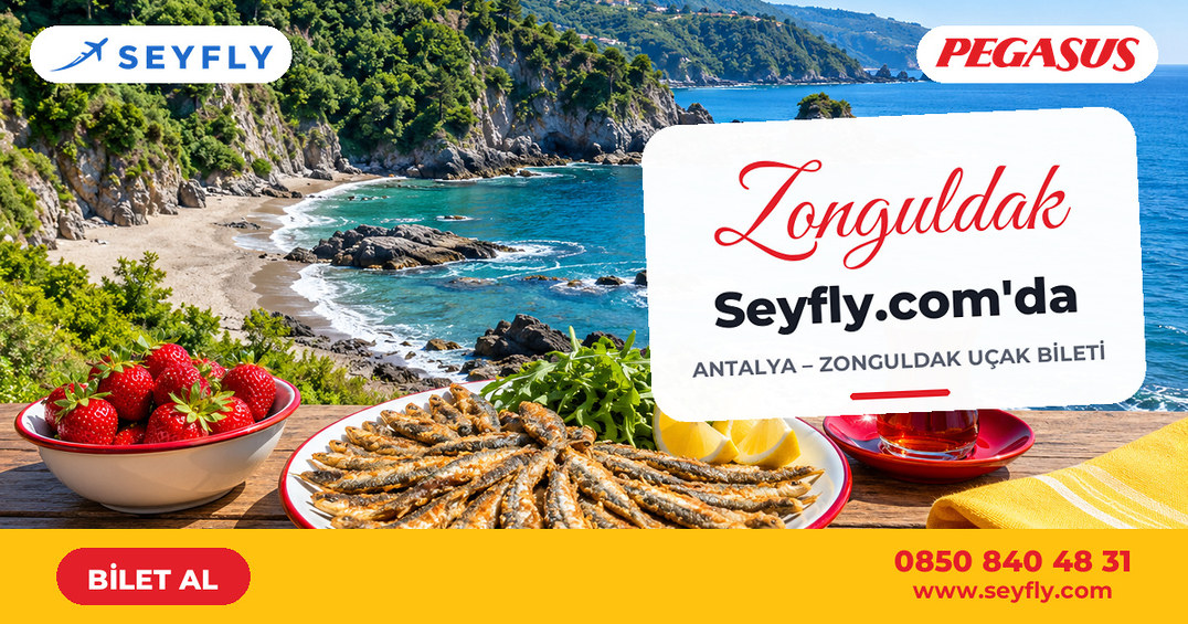 Antalya - Zonguldak uçak bileti - Seyfly