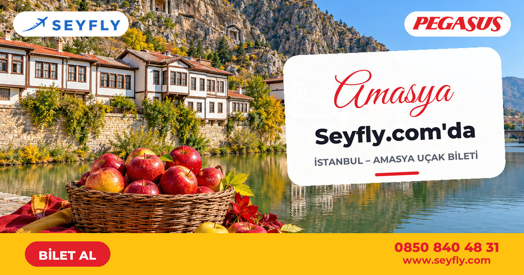 İstanbul - Amasya uçak bileti - Seyfly