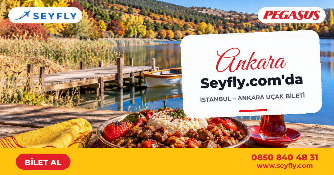 İstanbul - Ankara uçak bileti - Seyfly