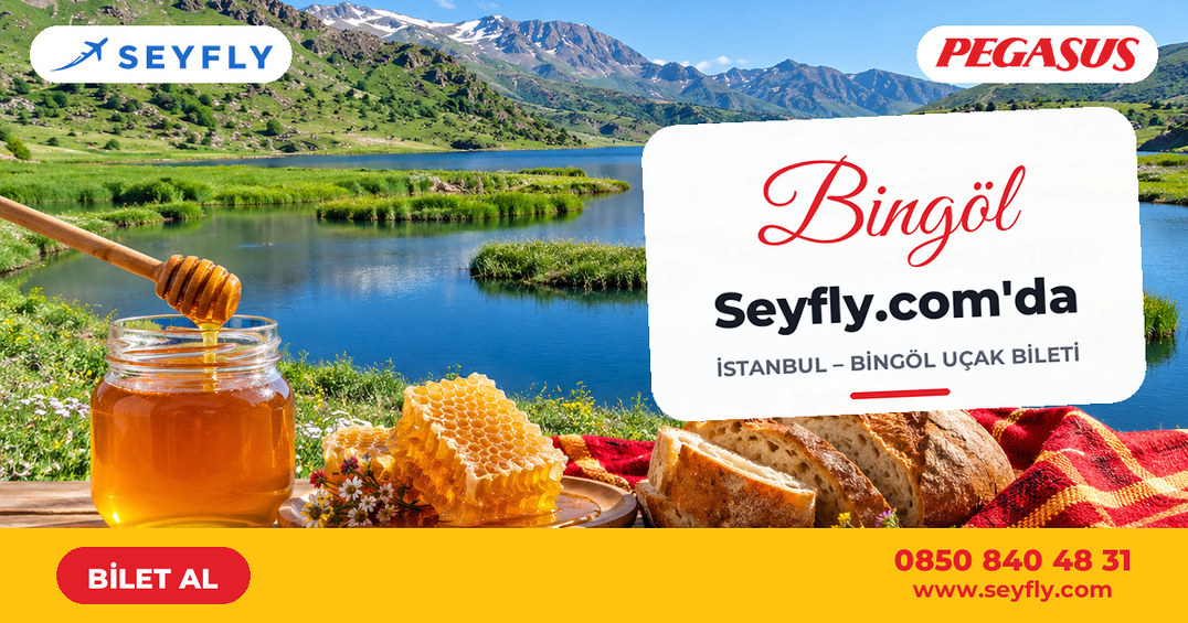 İstanbul - Bingöl uçak bileti - Seyfly