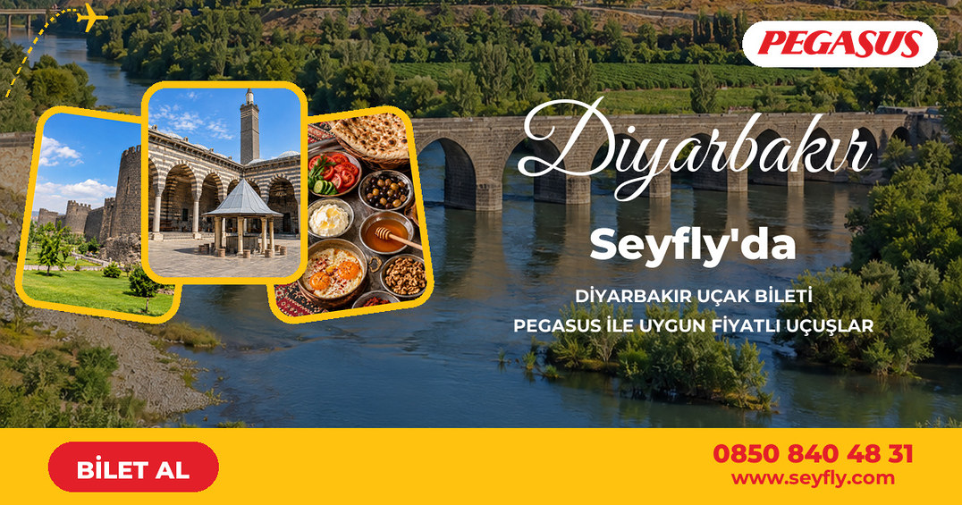 İstanbul - Diyarbakır uçak bileti - Seyfly
