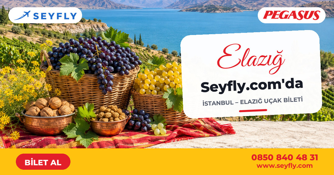 İstanbul - Elazığ uçak bileti - Seyfly