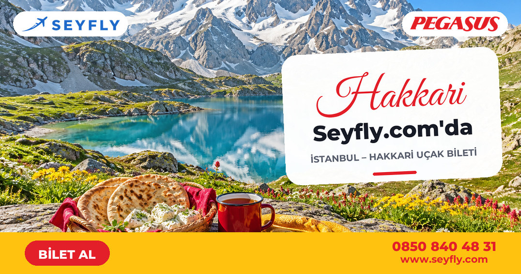 İstanbul - Hakkari uçak bileti - Seyfly