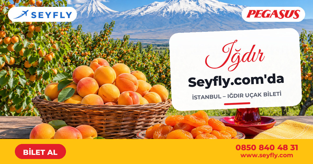 İstanbul - Iğdır uçak bileti - Seyfly