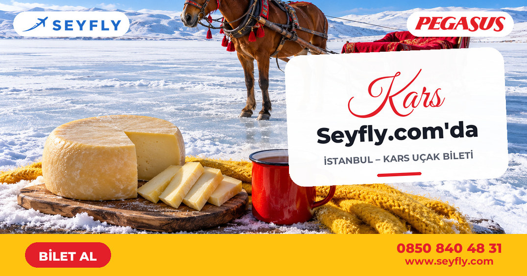 İstanbul - Kars uçak bileti - Seyfly