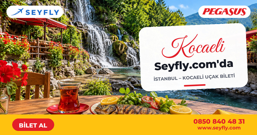 İstanbul - Kocaeli uçak bileti - Seyfly