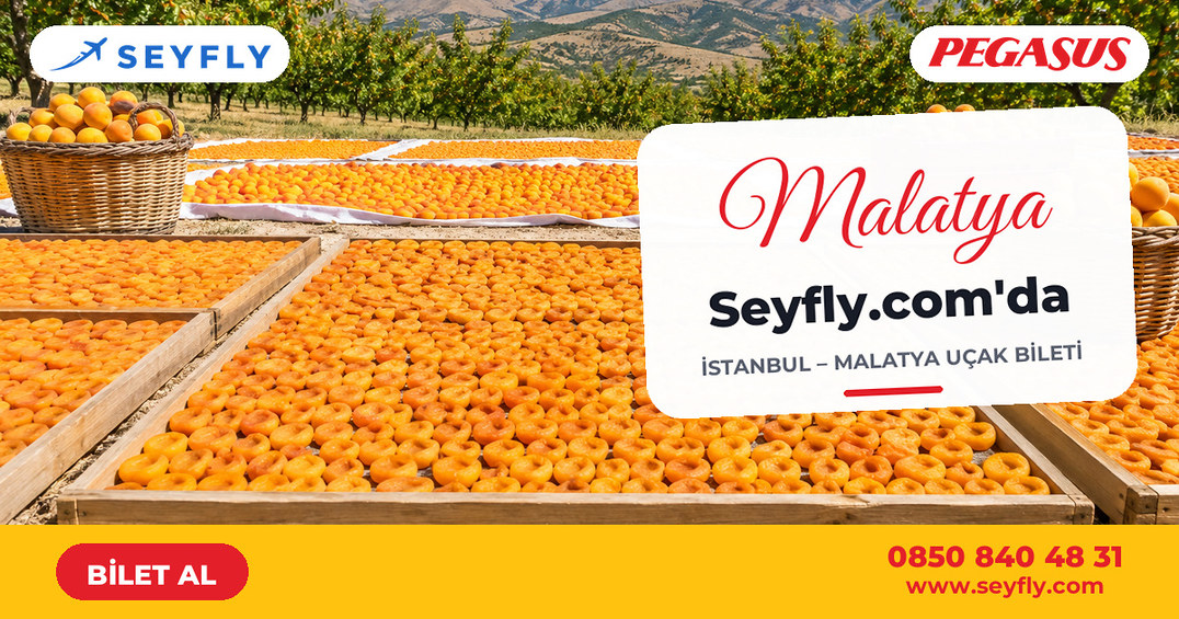 İstanbul - Malatya uçak bileti - Seyfly