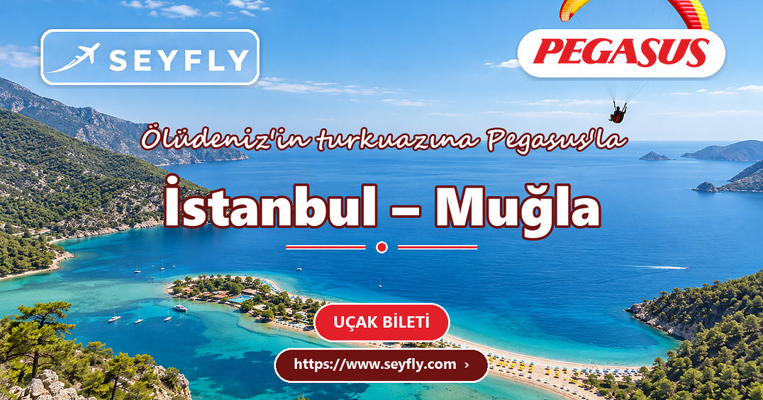 İstanbul - Muğla uçak bileti - Seyfly