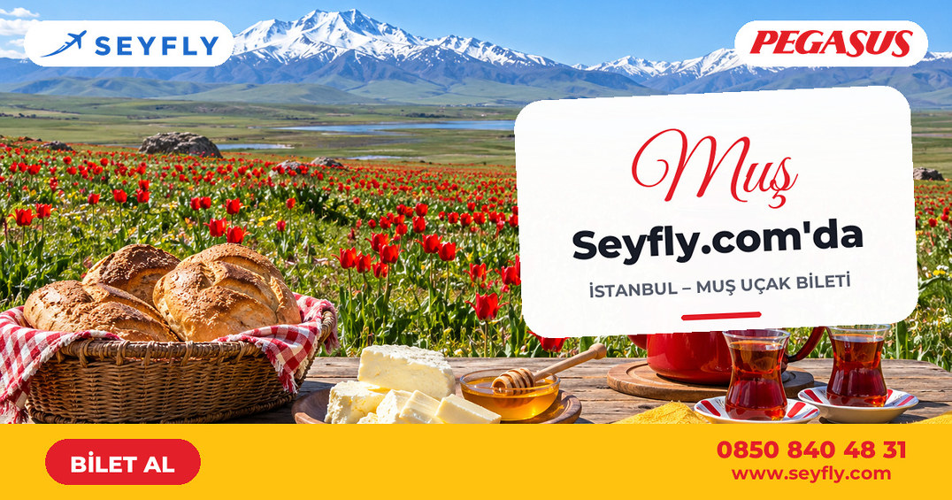 İstanbul - Muş uçak bileti - Seyfly