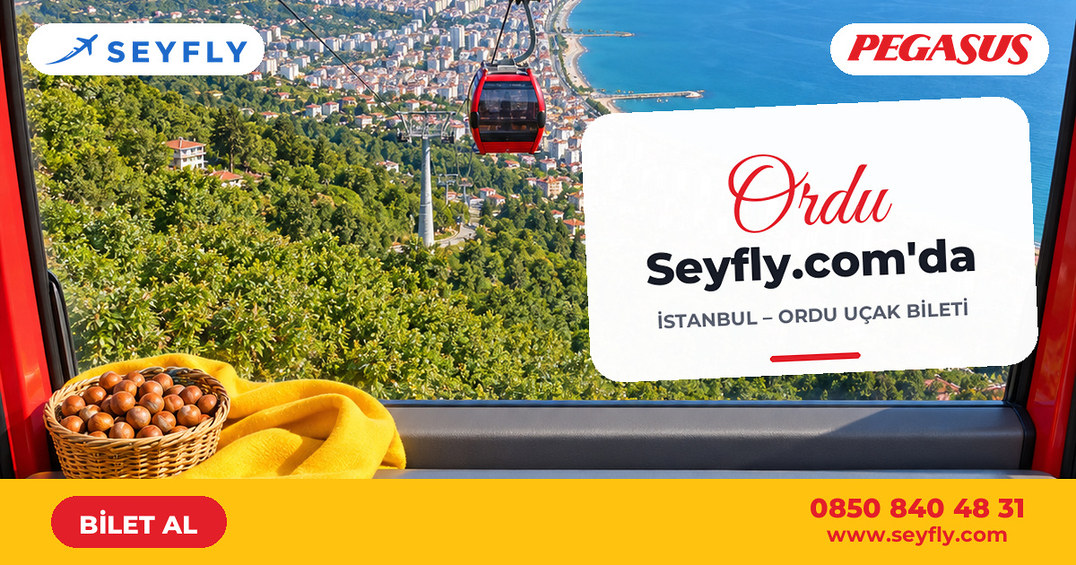 İstanbul - Ordu uçak bileti - Seyfly