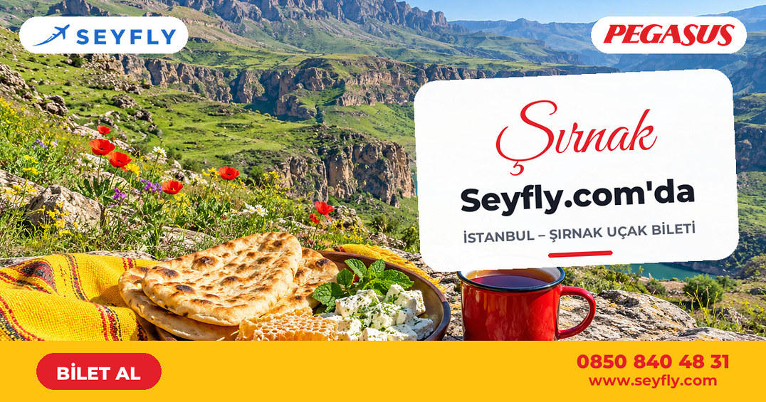 İstanbul - Şırnak uçak bileti - Seyfly