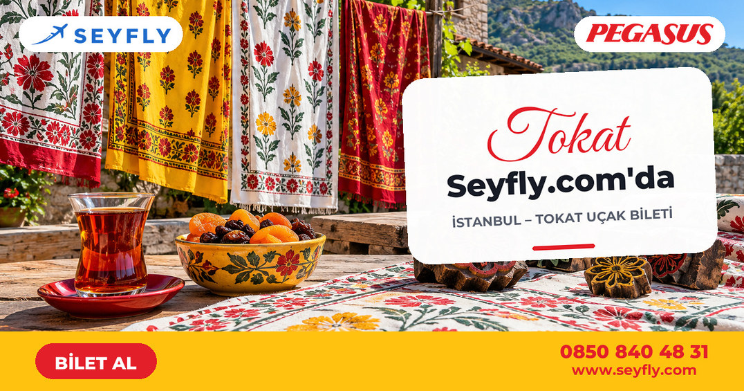 İstanbul - Tokat uçak bileti - Seyfly